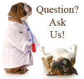 Question? Ask Us!